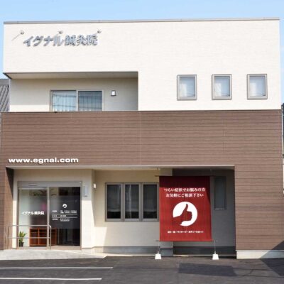 【導入事例】たった1通で休眠患者8名が復活！10年愛され続けるニュースレターの軌跡 – 香川県・イグナル鍼灸院様